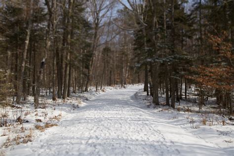 Packed Snow On Wide Path Free Nature Stock Photo