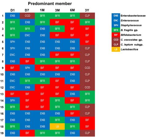 Frontiers Ontogenesis Of The Gut Microbiota Composition In Healthy