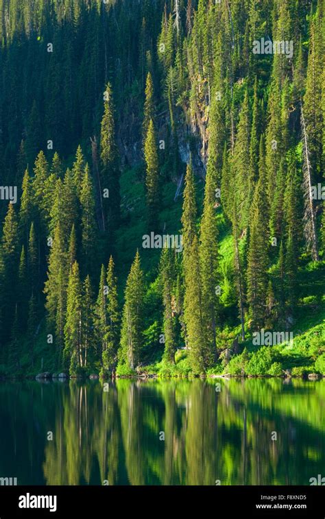 Lower Cold Lake Mission Mountains Wilderness Flathead National Forest