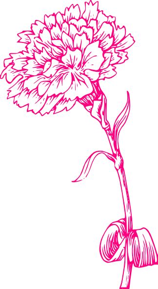 498x597 carnation flower clip art is clipart panda. Pink Carnation Clip Art at Clker.com - vector clip art ...