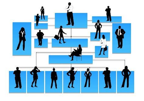 Org Chart Silhouettes 800