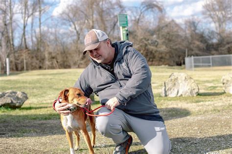 Huntington Cabell Wayne Animal Control Shelter Adoption