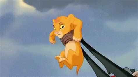 Roi Lion Gifs Find Share On Giphy
