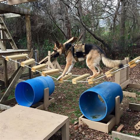 Diy Dog Agility Equipment Plans Agility Equipment Dog Playground