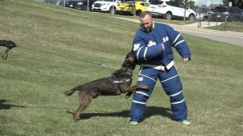 Marner Donates Bite Suit For Durham Police K 9 Training Citynews Toronto