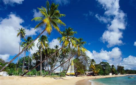 The Best Beaches For Swimming Surfing And Relaxing In Barbados