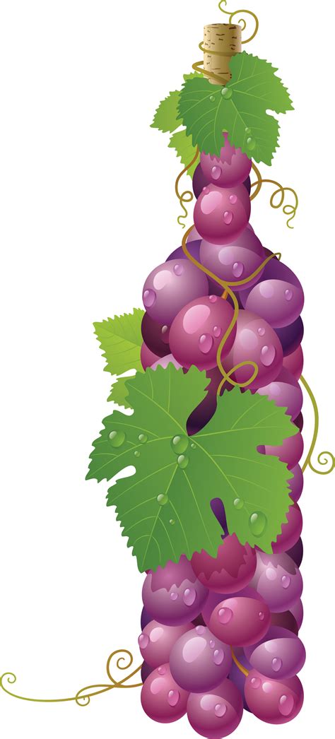 Red Grapes | Grapes, Wine painting, Red grapes