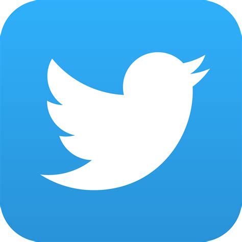 Twitter App Icon For Ios Iaccessibility