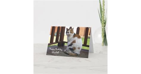 Personalized Calico Cat Birthday Card Zazzle
