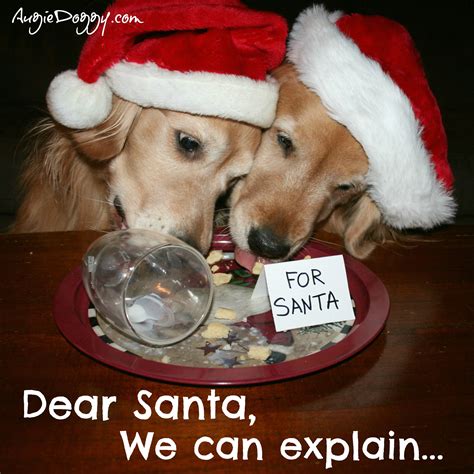 Awasome Christmas Messages For Dogs References Trends Pinterest