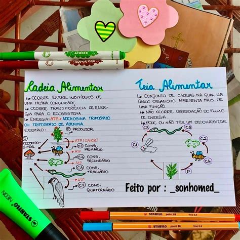 Mapa Mental Da Cadeia Alimentar