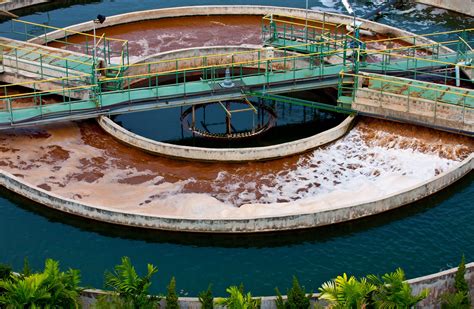A Peek Into The History Of Wastewater Treatment Organica Biotech