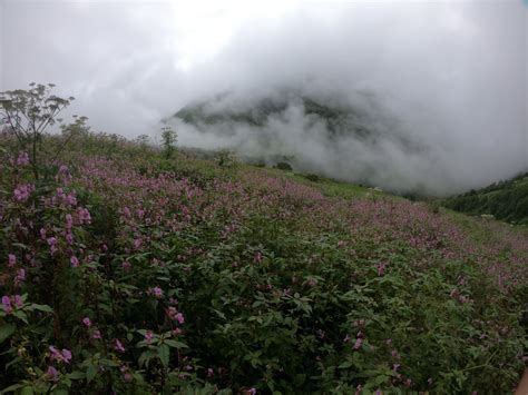 Valley Of Flowers And Hemkund Sahib Trek 2022 Moxtain