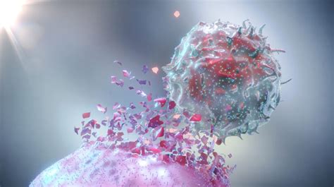 New Strategy From June Lab May Improve T Cell Therapy In Solid Tumors