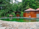 2D1N Kinabalu Park & Poring Hot Spring & Sabah Tea Garden Tour ...