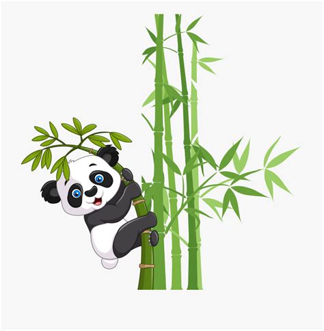 Collection Of Free Panda Transparent Bamboo Download