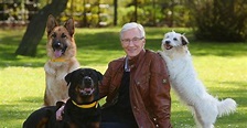 Paul O'Grady: For the Love of Dogs Season 9 - streaming