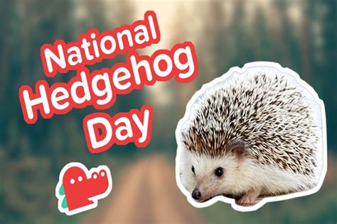 National Hedgehog Day 2023 Activities History Celebration
