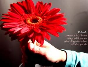 However, by supplementing the flowers with thank you quotes, you can show your gratitude in a unique way. Best Flower Quotes. QuotesGram