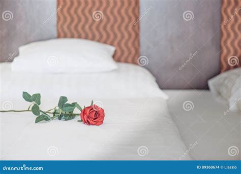Red Rose On Bed Romantic Hotel Room Stock Photo Image Of Room