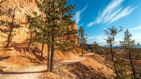 Bryce Canyon National Park Nature Landscape Desert Trees Wallpapers