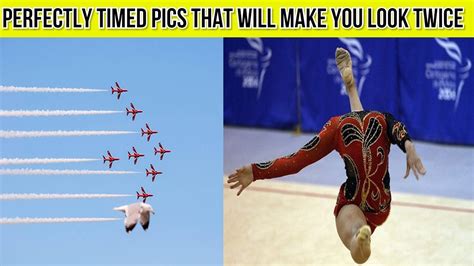 Perfectly Timed Pics That Will Make You Look Twice Youtube