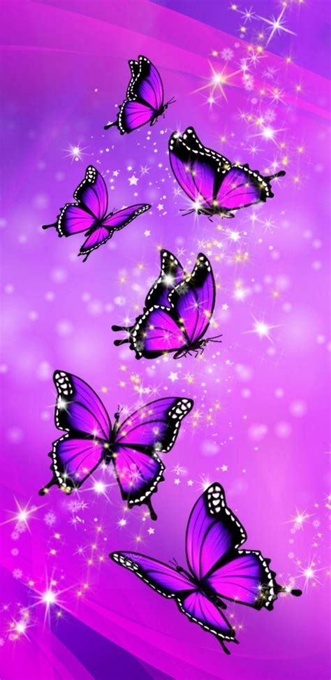 Purple Glowing Rainbow Butterfly Wallpaper Pictures