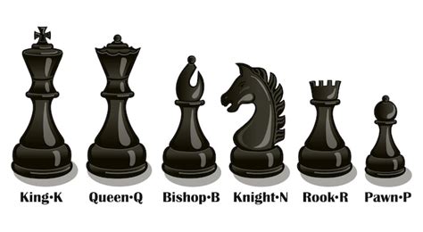 Premium Vector Chess Pieces Vector Chessmen Shapes With The Names Of