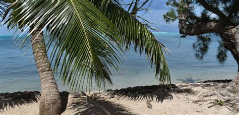 Fare Aute Beach Moorea Maiao Tahiti Tourisme Bienvenue Sur Le Site