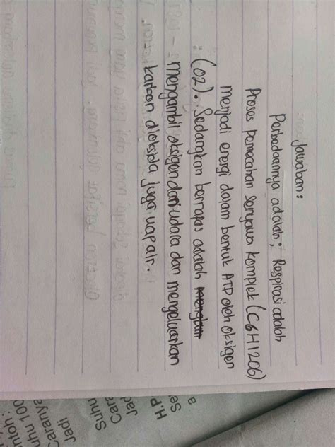 Perbedaan Pernapasan Dan Respirasi Perbedaan - vrogue.co