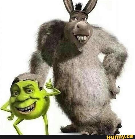 D I S C O M F O R T Shrek Memes Funny Relatable Memes Funny Pictures