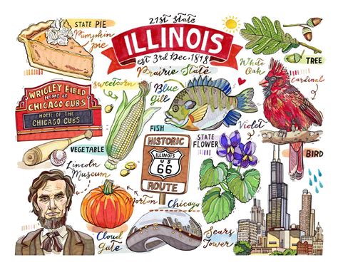 Illinois Print State Symbols Home Decor Illustration The Etsy