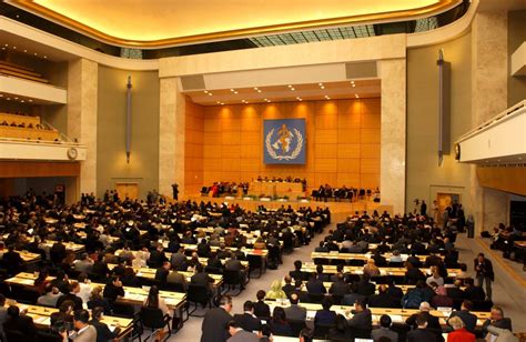 Youth employment, environment, human rights, democracy, population, health, drugs, community development, and. What is World Health Assembly (WHA) all about? - Public ...