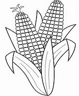 Corn Coloring Printable Stalk Celery Indian Drawing Getcolorings Clipartmag Popular sketch template