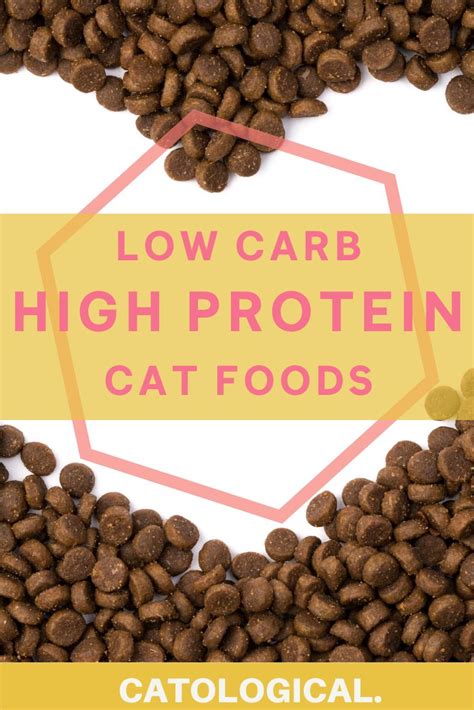 Low protein cat food products that you can find here are not just nutritious but are also tasty enough to rock your pet's taste buds. The Best High Protein, Low Carb Cat Food Reviews for 2020 ...