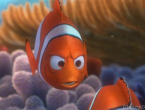 5 Parallels Between Nemo And Dory