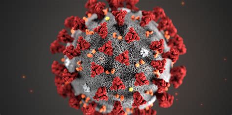 This page is no longer being updated. How Victoria Is Preparing for Coronavirus - The Capital