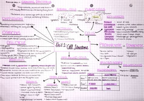 A Level Biology Revision Gcse Chemistry Revision Biology Units Gcse Revision Chemistry Notes