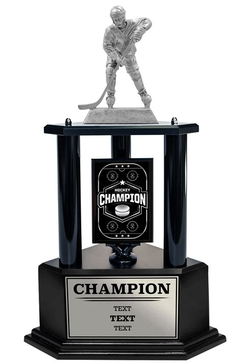 Championship Hockey Trophies 26 36” Award For Sport And Fantasy Personalized Customized