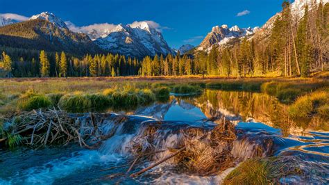 Download and use 30,000+ free wallpaper stock photos for free. Beaver Dam - Bing Wallpaper Download