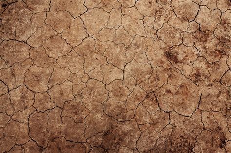 Cracked Earth Texture Free Stock Photo Public Domain Pictures