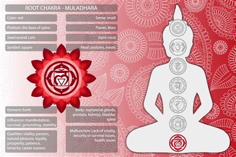 The Root Chakra And Its Red Color Meaning Color Meanings
