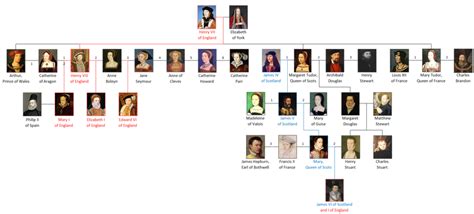 She became queen when her father, king george vi, died on 6 february 1952. Family tree of the principal members of the house of Tudor ...