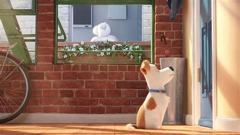 Born and raised in philadelphia, pennsylvania, hart began his career by winning several amateur comedy competitions at clubs throughout new england, culminating in his first real break in 2001 when he was. The Secret Life of Pets [Blu-ray + DVD + Digital HD ...