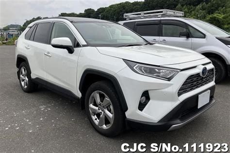 2021 Toyota Rav4 White For Sale Stock No 111923 Japanese Used Cars