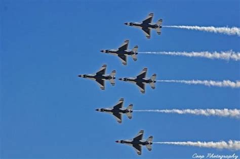 Why birds fly in V formation - HubPages