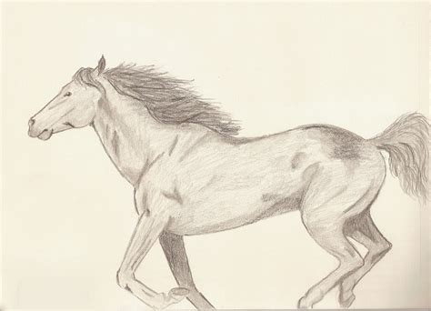 Running black line horse on white background. Running Horses Drawing at GetDrawings | Free download