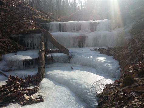 Versailles State Park Mountain Bike Trail In Versilles Indiana