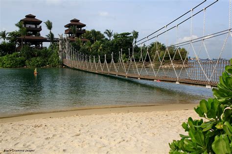 Suspension Bridge And Lookout Towers Palawan Beach Sentosa Flickr