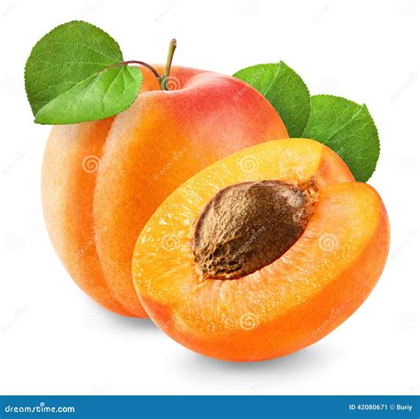 Fresh Apricot Stock Image Image Of Fruit Freshness 42080671